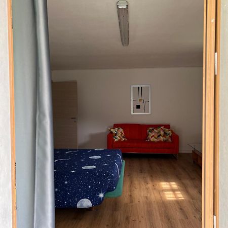 Homely Альбіно Екстер'єр фото